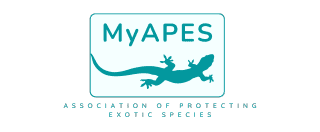 MyAPES Portal